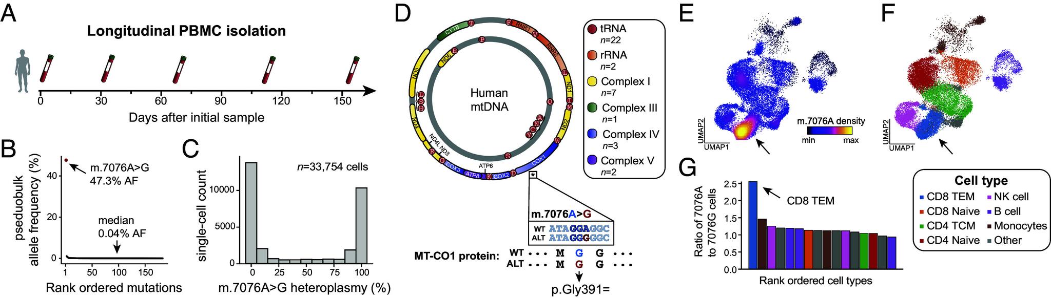 https://cdn.ncbi.nlm.nih.gov/pmc/blobs/3ac8/12318227/7f5790bd0166/pnas.2505704122fig01.jpg