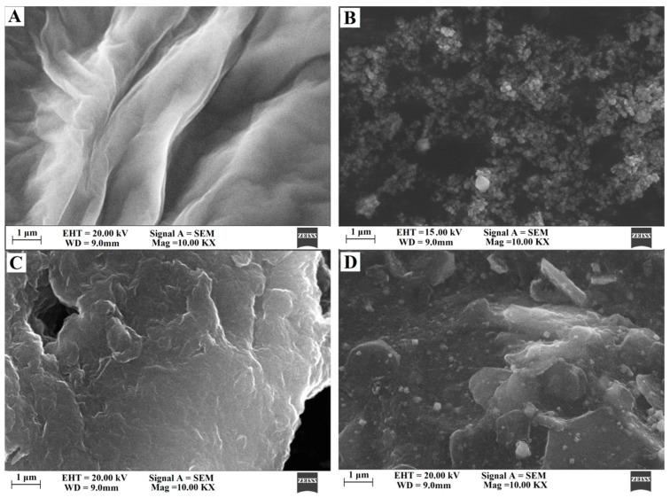 https://cdn.ncbi.nlm.nih.gov/pmc/blobs/3ac9/6571681/46cb6f32e572/biomolecules-09-00176-g002.jpg