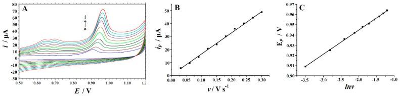 https://cdn.ncbi.nlm.nih.gov/pmc/blobs/3ac9/6571681/5b718de3816c/biomolecules-09-00176-g005.jpg