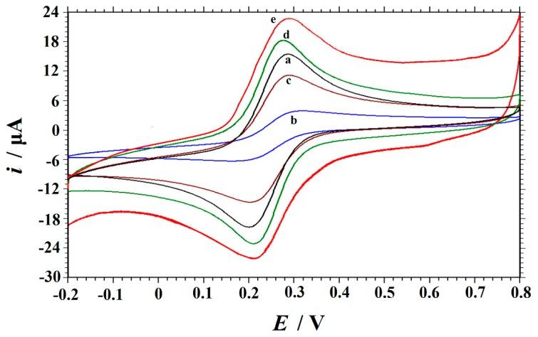https://cdn.ncbi.nlm.nih.gov/pmc/blobs/3ac9/6571681/74b2ba22f257/biomolecules-09-00176-g003.jpg