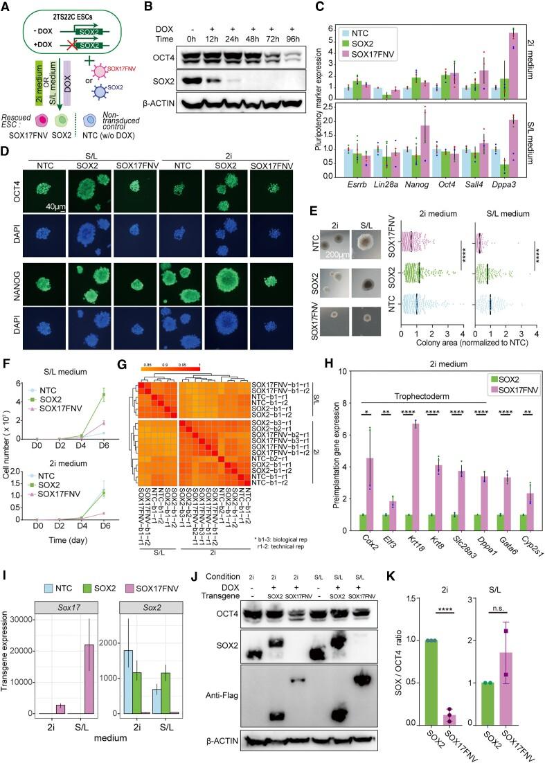 https://cdn.ncbi.nlm.nih.gov/pmc/blobs/3aca/10516664/30aee3ea44c9/gkad597fig2.jpg