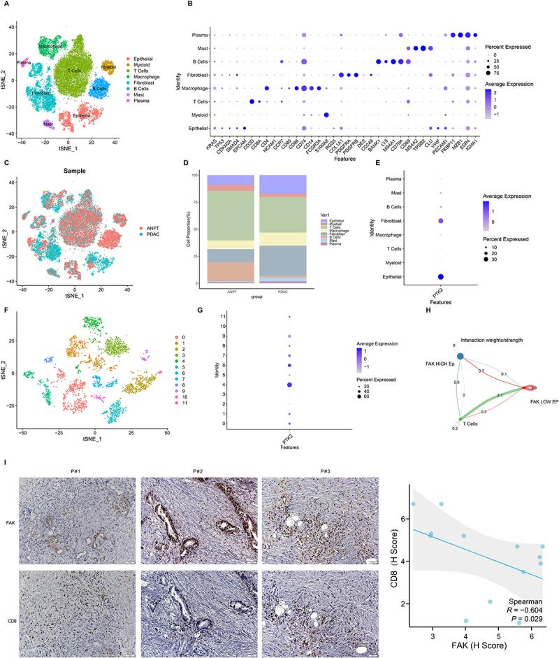 https://cdn.ncbi.nlm.nih.gov/pmc/blobs/3aca/12309540/3e22a0c59670/KONI_A_2539442_F0001_OC.jpg
