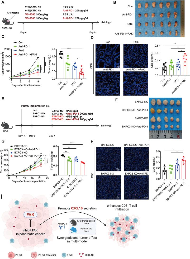 https://cdn.ncbi.nlm.nih.gov/pmc/blobs/3aca/12309540/60aeb5ae5138/KONI_A_2539442_F0005_OC.jpg
