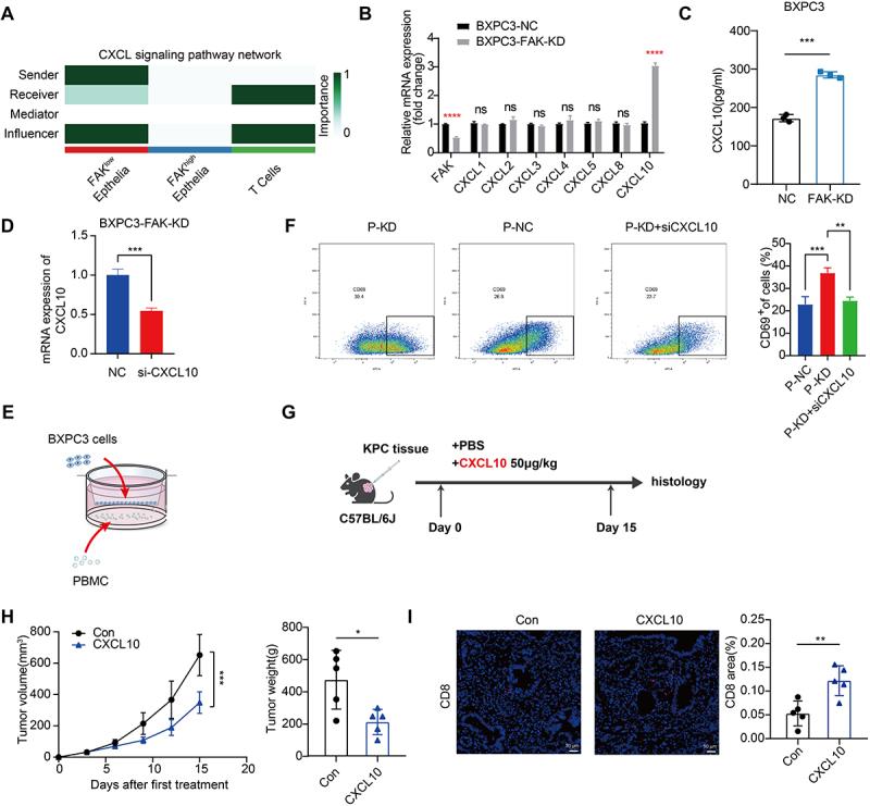 https://cdn.ncbi.nlm.nih.gov/pmc/blobs/3aca/12309540/9f5d706d9f98/KONI_A_2539442_F0004_OC.jpg