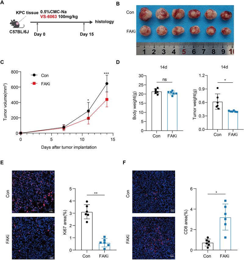 https://cdn.ncbi.nlm.nih.gov/pmc/blobs/3aca/12309540/f844ebe18218/KONI_A_2539442_F0003_OC.jpg