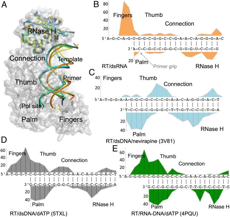 https://cdn.ncbi.nlm.nih.gov/pmc/blobs/3aca/6462067/e3a013246cfa/pnas.1814170116fig02.jpg