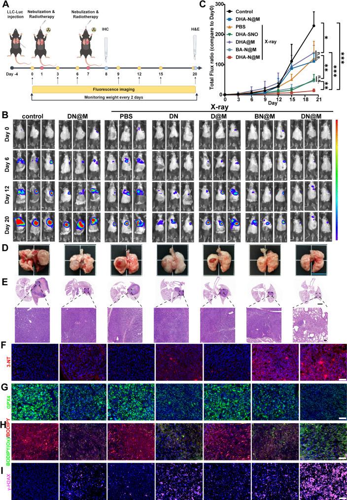 https://cdn.ncbi.nlm.nih.gov/pmc/blobs/3acb/12060495/31c596fa40c0/12951_2025_3409_Fig7_HTML.jpg