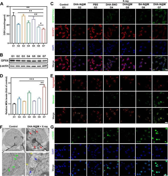 https://cdn.ncbi.nlm.nih.gov/pmc/blobs/3acb/12060495/8d0e826d752a/12951_2025_3409_Fig4_HTML.jpg