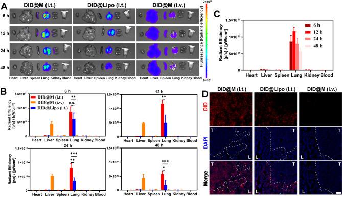 https://cdn.ncbi.nlm.nih.gov/pmc/blobs/3acb/12060495/c66ebd3b9b3d/12951_2025_3409_Fig6_HTML.jpg