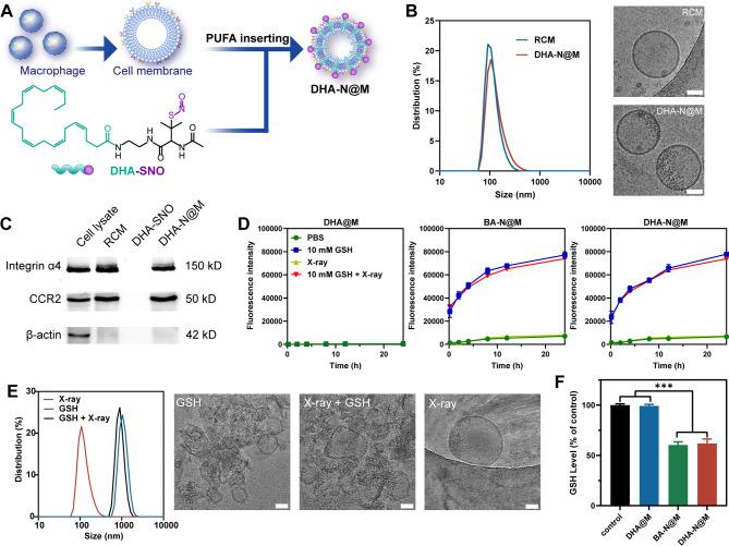 https://cdn.ncbi.nlm.nih.gov/pmc/blobs/3acb/12060495/da94bb0b98b2/12951_2025_3409_Fig2_HTML.jpg