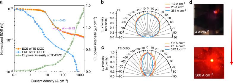 https://cdn.ncbi.nlm.nih.gov/pmc/blobs/3acc/12365173/824eeba4b717/41377_2025_1972_Fig4_HTML.jpg
