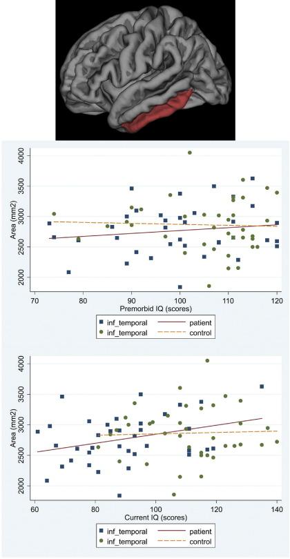 https://cdn.ncbi.nlm.nih.gov/pmc/blobs/3acc/3025327/411f3bcdc000/gr5.jpg
