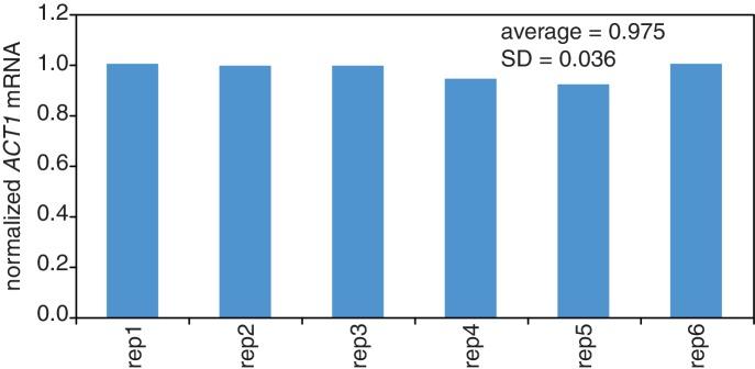 https://cdn.ncbi.nlm.nih.gov/pmc/blobs/3acc/6152797/10451815afb1/elife-32536-app1-fig11.jpg