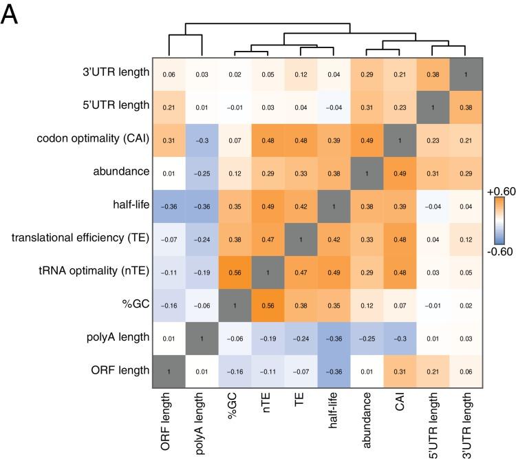 https://cdn.ncbi.nlm.nih.gov/pmc/blobs/3acc/6152797/5ecc217639bc/elife-32536-fig2.jpg