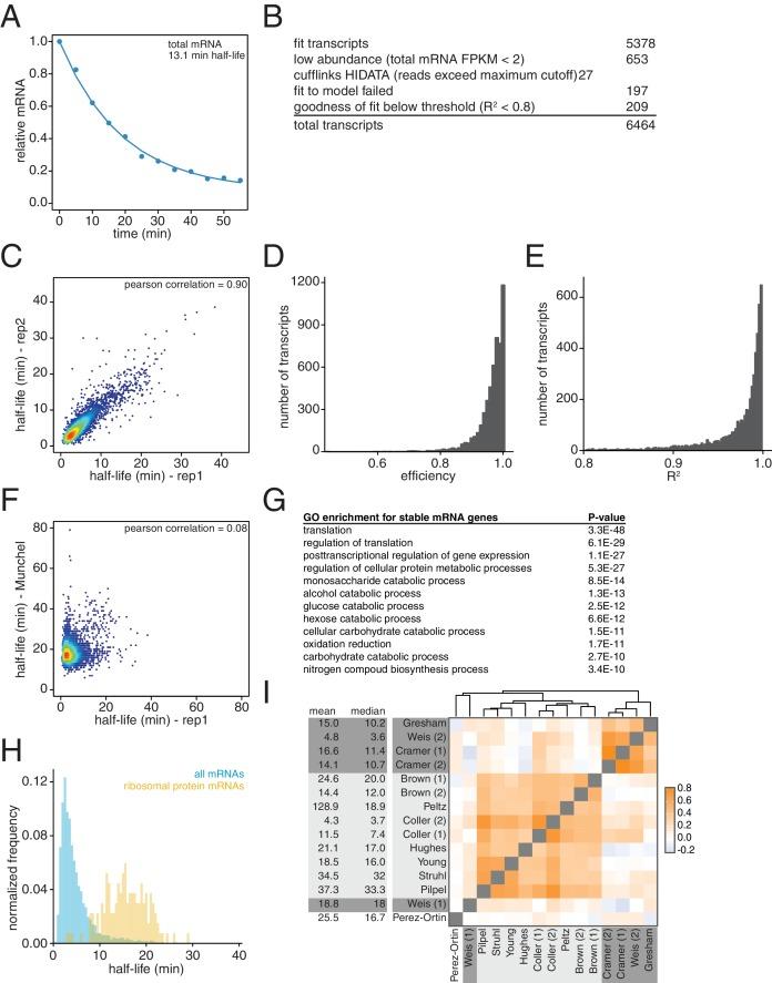 https://cdn.ncbi.nlm.nih.gov/pmc/blobs/3acc/6152797/a66d061d1fb1/elife-32536-fig1-figsupp1.jpg