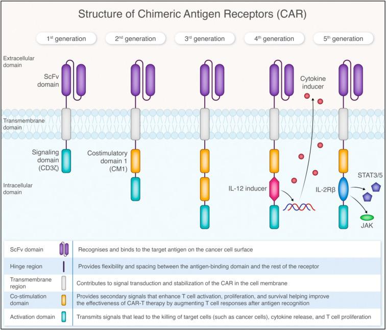 https://cdn.ncbi.nlm.nih.gov/pmc/blobs/3ace/12354594/518f63138aac/fimmu-16-1581210-g001.jpg