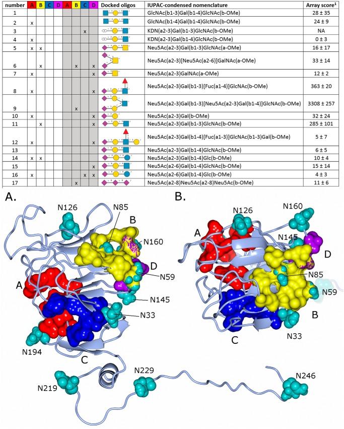 https://cdn.ncbi.nlm.nih.gov/pmc/blobs/3acf/6514631/58d9747e4a24/zbc0201905380006.jpg