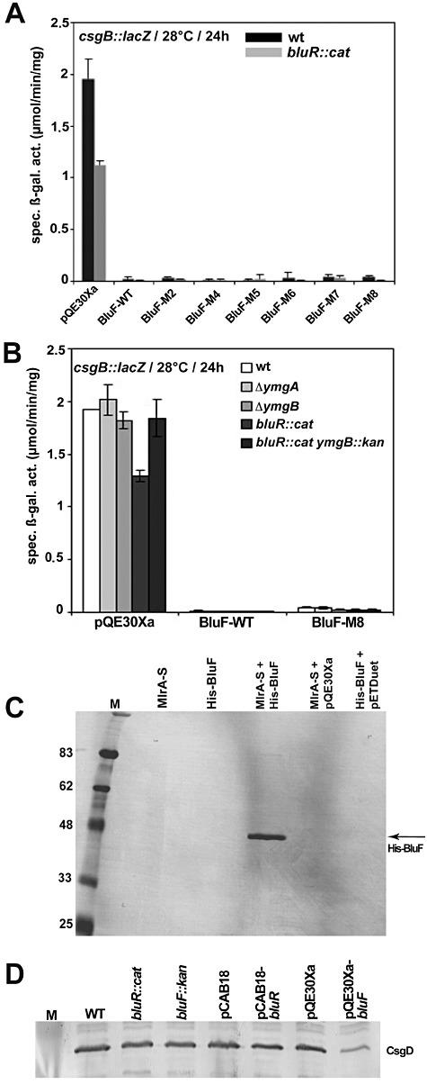https://cdn.ncbi.nlm.nih.gov/pmc/blobs/3ad0/3509220/9dd4f1e0afbb/mmi0085-0893-f3.jpg