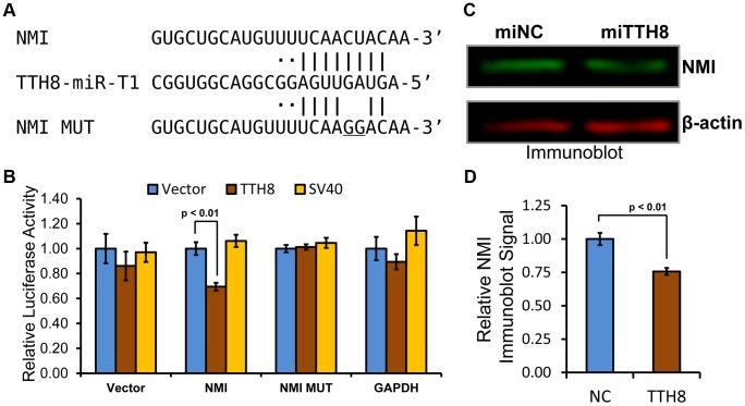 https://cdn.ncbi.nlm.nih.gov/pmc/blobs/3ad4/3868544/623d9ae13be4/ppat.1003818.g006.jpg