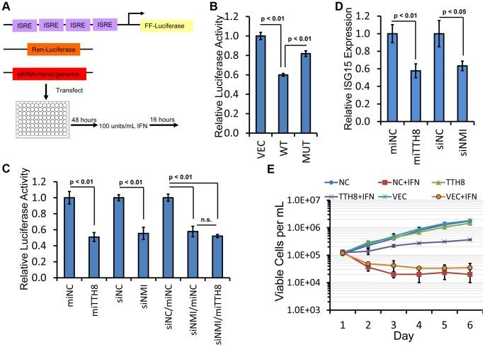 https://cdn.ncbi.nlm.nih.gov/pmc/blobs/3ad4/3868544/d596a6336bde/ppat.1003818.g007.jpg
