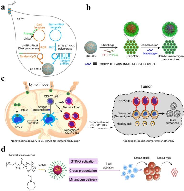 https://cdn.ncbi.nlm.nih.gov/pmc/blobs/3ad6/6857062/3ac762c9aeba/thnov09p7981g006.jpg