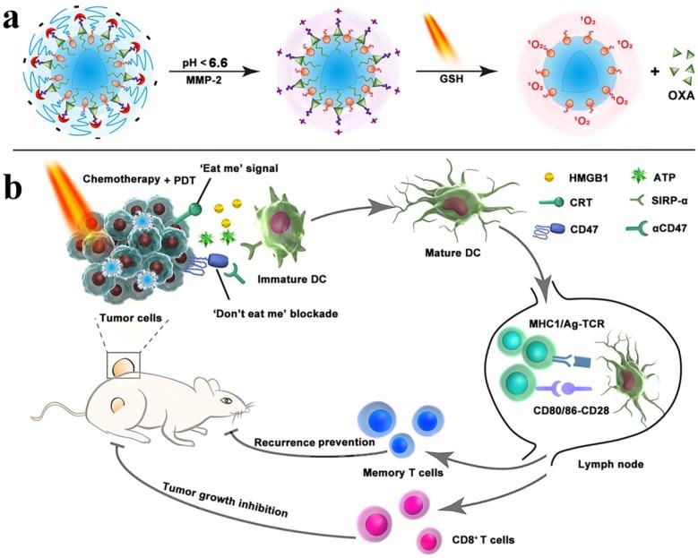 https://cdn.ncbi.nlm.nih.gov/pmc/blobs/3ad6/6857062/88bcaed19b7d/thnov09p7981g010.jpg