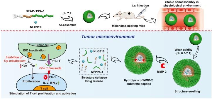 https://cdn.ncbi.nlm.nih.gov/pmc/blobs/3ad6/6857062/945cc20253d6/thnov09p7981g002.jpg