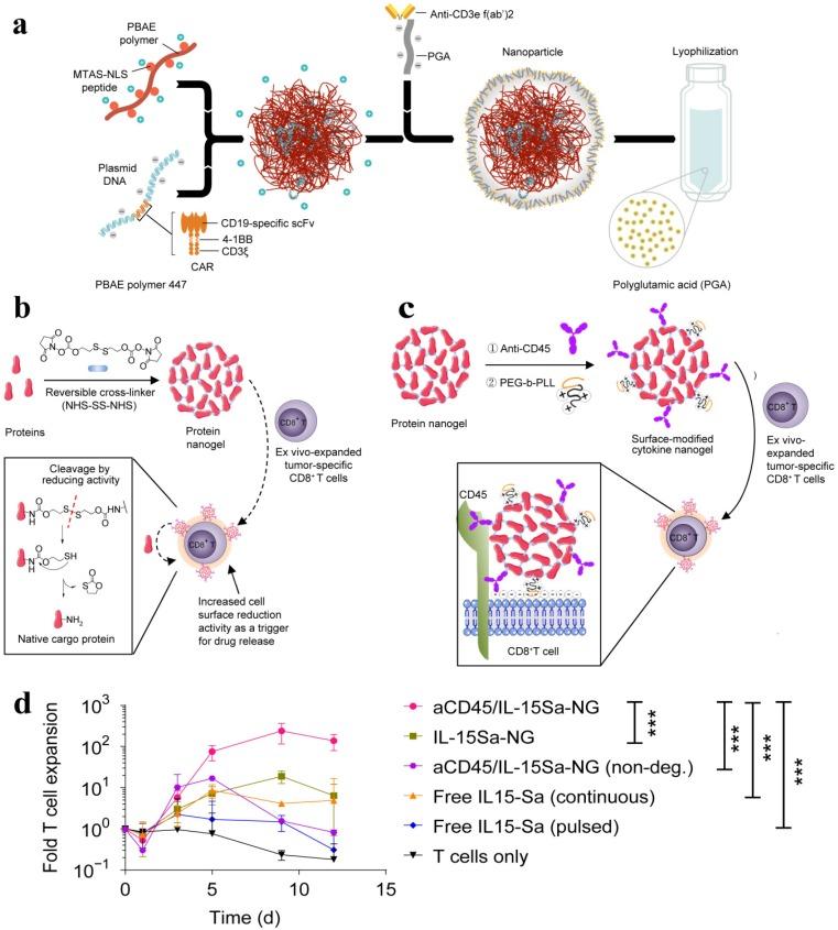 https://cdn.ncbi.nlm.nih.gov/pmc/blobs/3ad6/6857062/b7643b3973f2/thnov09p7981g007.jpg