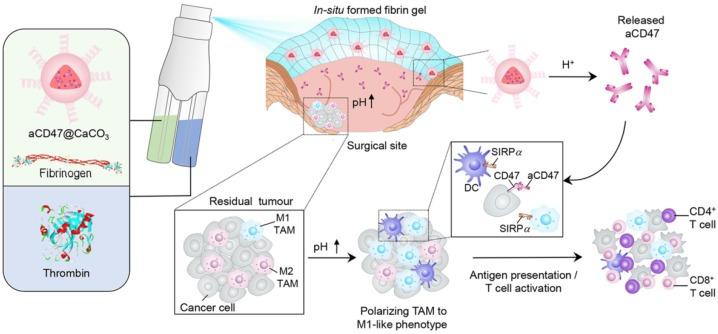 https://cdn.ncbi.nlm.nih.gov/pmc/blobs/3ad6/6857062/f1c9994e0c9b/thnov09p7981g004.jpg