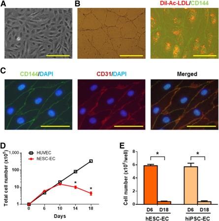 https://cdn.ncbi.nlm.nih.gov/pmc/blobs/3ad7/5442820/997330c688b3/SCT3-6-589-g001.jpg