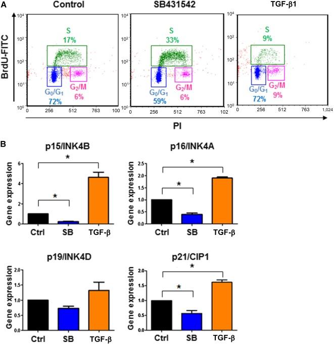 https://cdn.ncbi.nlm.nih.gov/pmc/blobs/3ad7/5442820/a5bf04d70e1e/SCT3-6-589-g007.jpg
