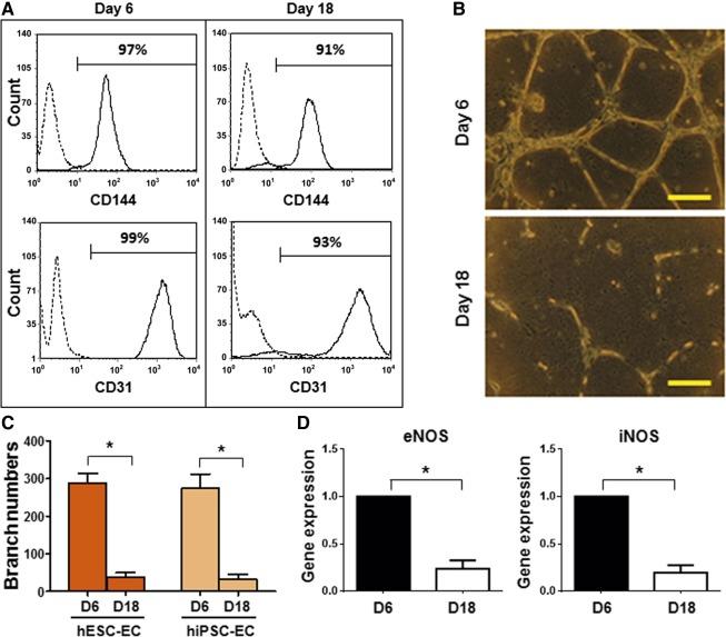 https://cdn.ncbi.nlm.nih.gov/pmc/blobs/3ad7/5442820/c27de2f690b6/SCT3-6-589-g002.jpg