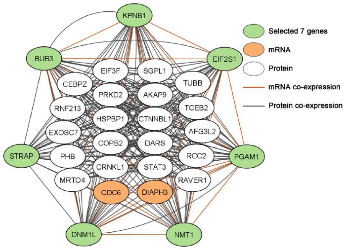 https://cdn.ncbi.nlm.nih.gov/pmc/blobs/3ad7/9776006/73816149f30d/biomolecules-12-01782-g004.jpg