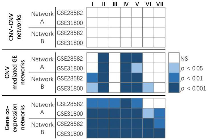 https://cdn.ncbi.nlm.nih.gov/pmc/blobs/3ad7/9776006/9f05cbcde7e5/biomolecules-12-01782-g003.jpg