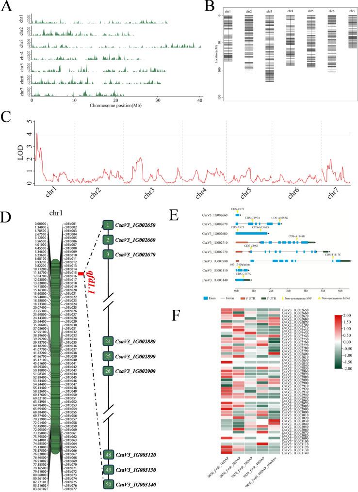 https://cdn.ncbi.nlm.nih.gov/pmc/blobs/3ad8/11681723/5e8f08c56a8c/12870_2024_6000_Fig2_HTML.jpg