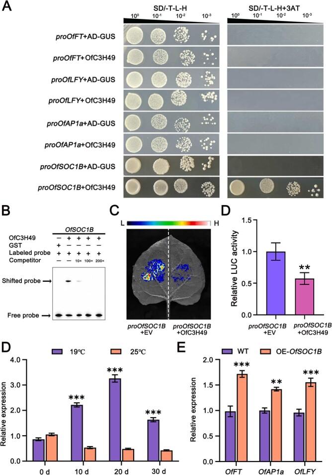 https://cdn.ncbi.nlm.nih.gov/pmc/blobs/3ad9/11725642/57bea9e149cf/uhae273f5.jpg