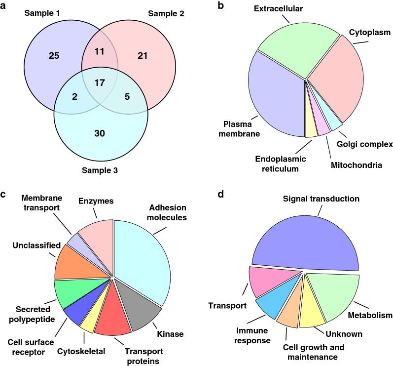 https://cdn.ncbi.nlm.nih.gov/pmc/blobs/3ad9/6136184/3d58cac9c0a4/12014_2018_9205_Fig2_HTML.jpg