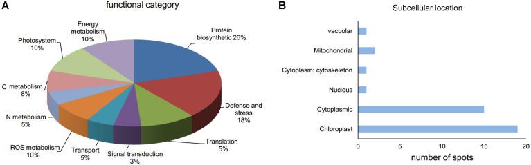 https://cdn.ncbi.nlm.nih.gov/pmc/blobs/3ad9/7969889/99f4d1b630d9/fpls-12-632758-g004.jpg