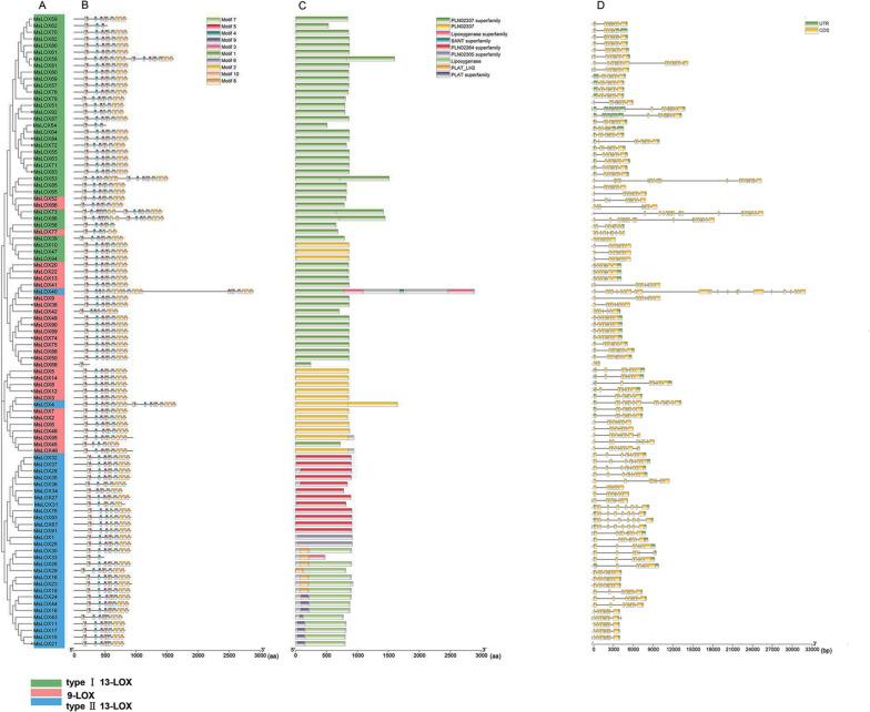 https://cdn.ncbi.nlm.nih.gov/pmc/blobs/3adc/10875803/36b647de42c2/12864_2024_10071_Fig3_HTML.jpg
