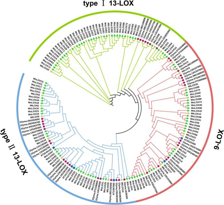 https://cdn.ncbi.nlm.nih.gov/pmc/blobs/3adc/10875803/5387db0f8be8/12864_2024_10071_Fig1_HTML.jpg