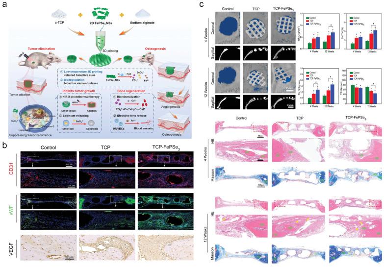 https://cdn.ncbi.nlm.nih.gov/pmc/blobs/3add/12194080/57463712499d/jfb-16-00213-g009.jpg