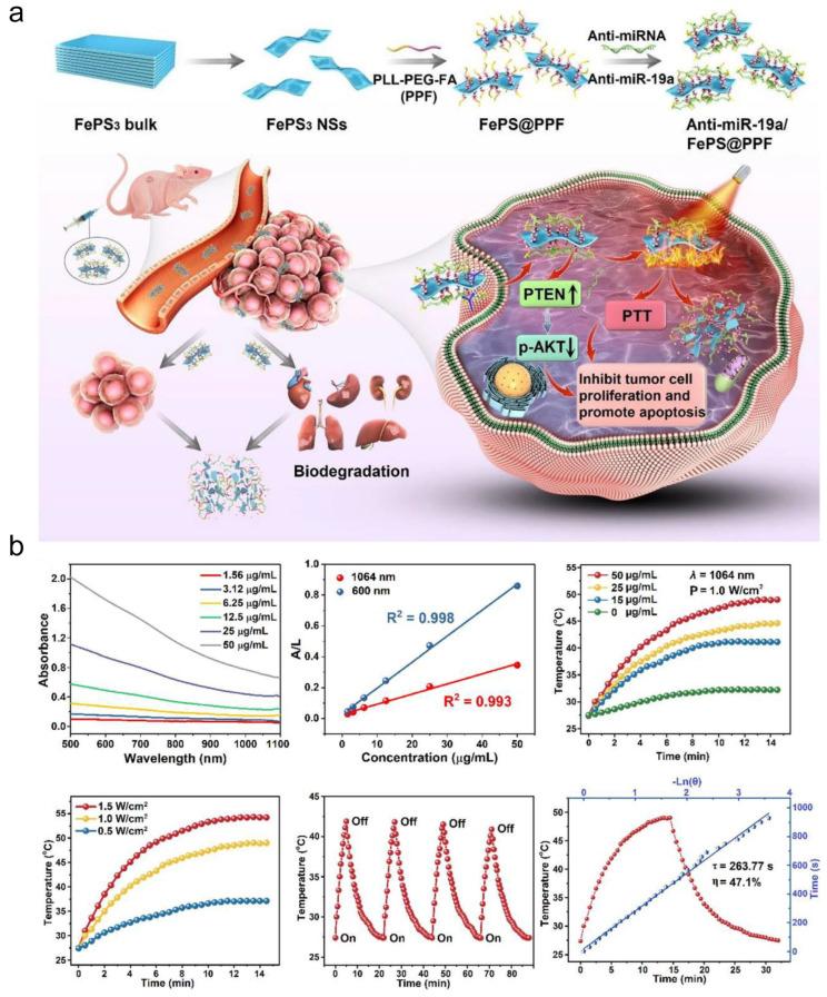 https://cdn.ncbi.nlm.nih.gov/pmc/blobs/3add/12194080/c746493ee4ed/jfb-16-00213-g008.jpg