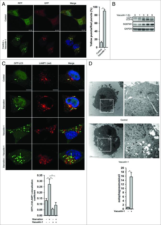 https://cdn.ncbi.nlm.nih.gov/pmc/blobs/3ade/4502727/2c58addb0a9f/kaup-10-11-973767-g001.jpg