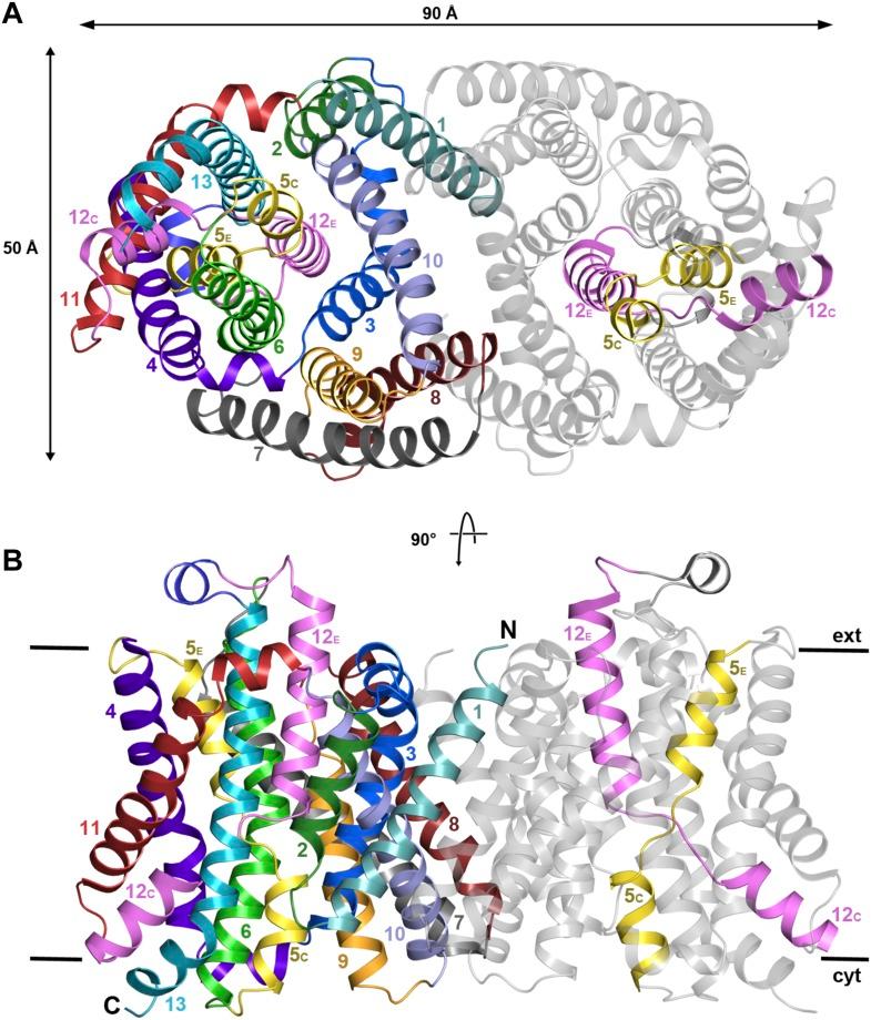 https://cdn.ncbi.nlm.nih.gov/pmc/blobs/3adf/4381896/25f20efe775d/elife03583f002.jpg