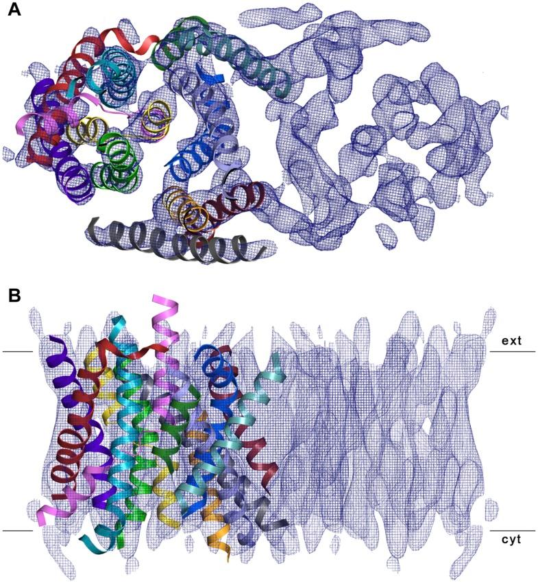 https://cdn.ncbi.nlm.nih.gov/pmc/blobs/3adf/4381896/53add75b58a9/elife03583f007.jpg