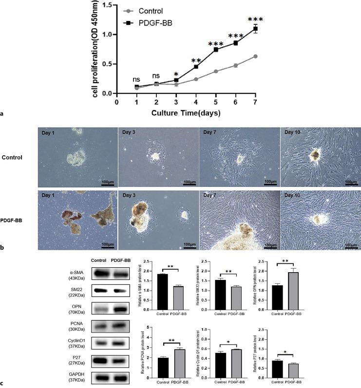 https://cdn.ncbi.nlm.nih.gov/pmc/blobs/3ae2/10614493/54fb03916335/jvr-2023-0060-0004-532033_F04.jpg