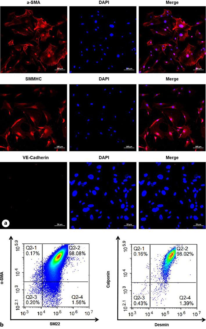 https://cdn.ncbi.nlm.nih.gov/pmc/blobs/3ae2/10614493/6c2570910173/jvr-2023-0060-0004-532033_F03.jpg
