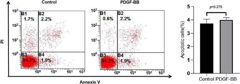 https://cdn.ncbi.nlm.nih.gov/pmc/blobs/3ae2/10614493/930f590bee1b/jvr-2023-0060-0004-532033_F05.jpg