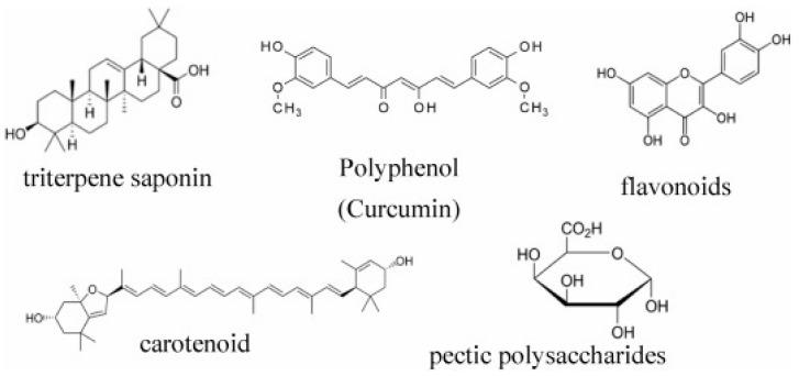https://cdn.ncbi.nlm.nih.gov/pmc/blobs/3ae5/11677410/a31191aab0c5/plants-13-03515-g005.jpg