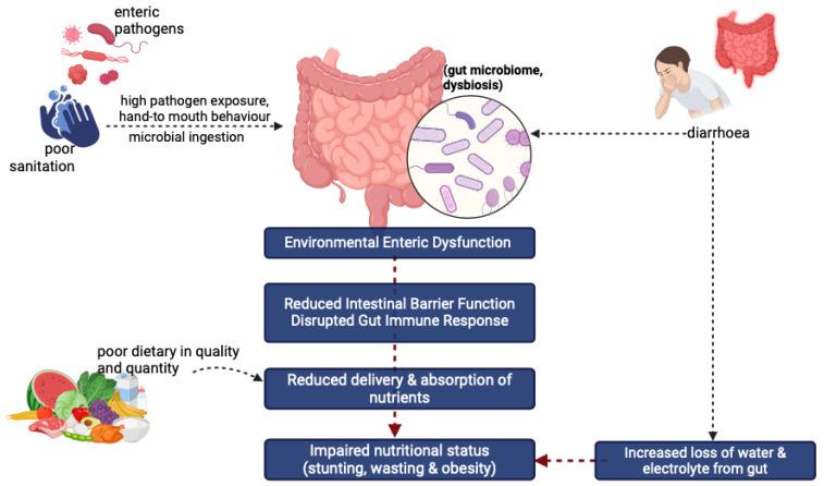 https://cdn.ncbi.nlm.nih.gov/pmc/blobs/3ae6/12073730/2582b6606f83/nutrients-17-01493-g005.jpg